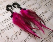 Fuschia Song Bird Gauges