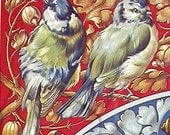 Snails - birds - Bees -   Vintage  Art  Reproduction - On 11 x 17 - Vibrant Colors