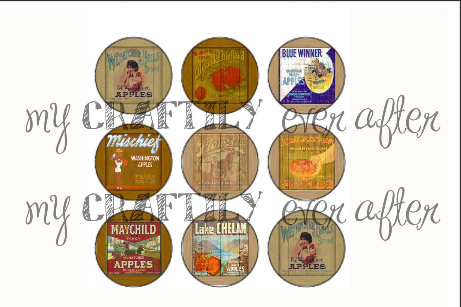 Vintage Washington Magnet Set