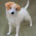 Needle felted dog, custom portrait of your pet