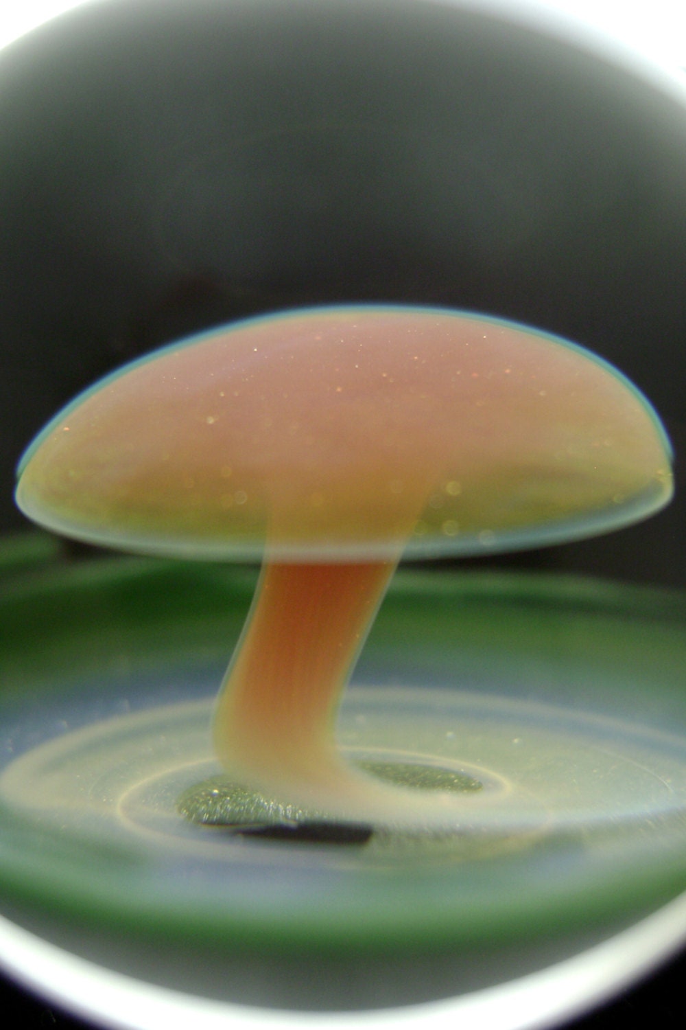 Flameworked Glass Mushroom Marble by Bashi Alé
