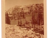 Snowy Range Pass Wyoming Old Kodacolor Print Photo Upper Flats WY Pine Trees Mountains dated 1952