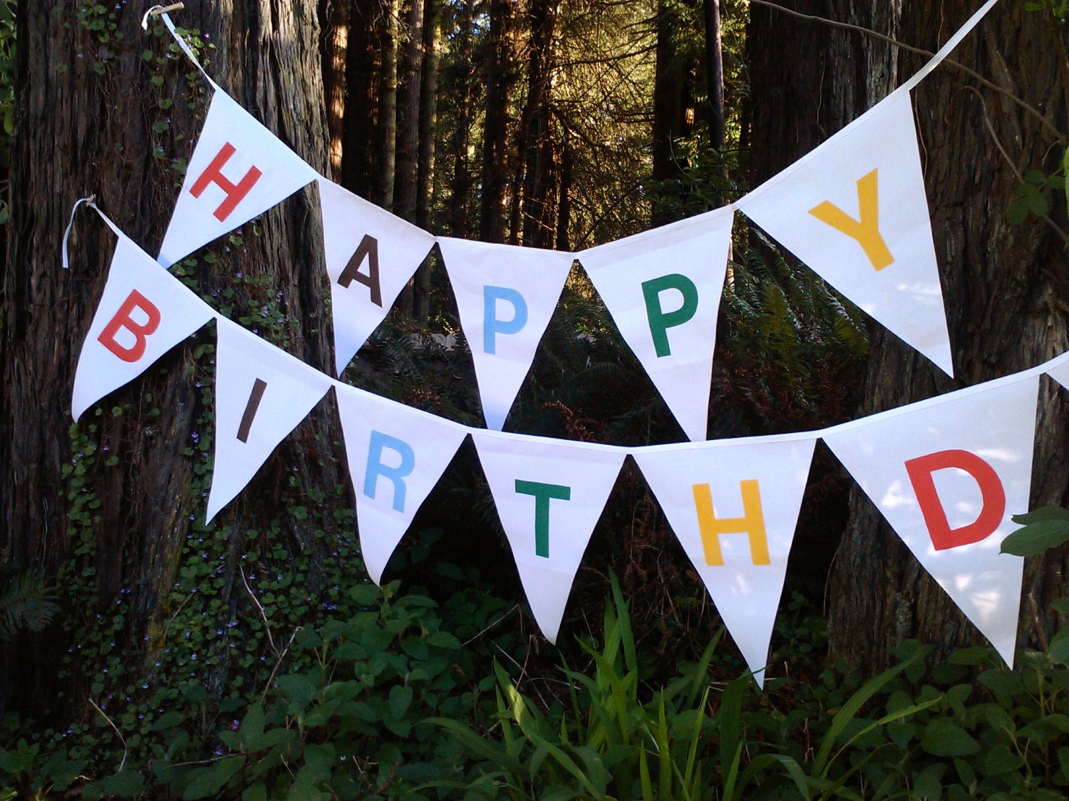 Jumbo Canvas Birthday Banner Party Decoration - Available in any colors Il_170x135