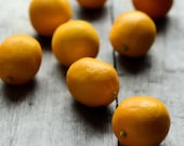 Meyer Lemons -- FREE SHIPPING -- Fine Art Photo Print for Kitchen - 8x10