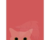 Saffron 8x10 cute kitten looking at you print