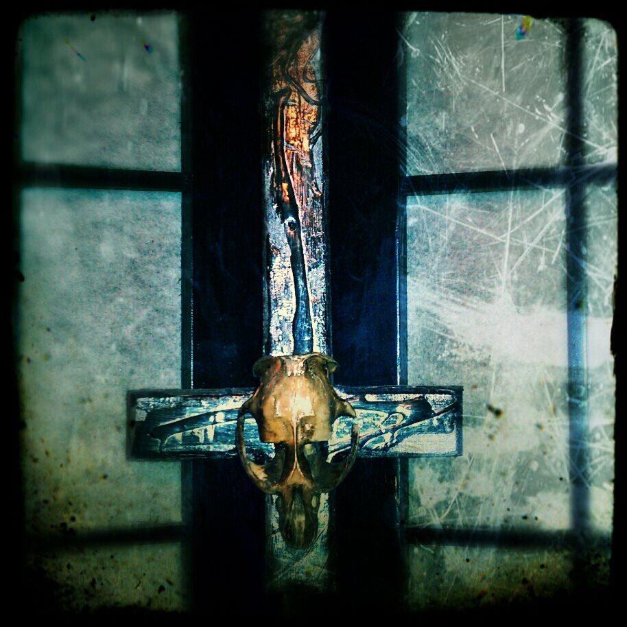 TAXIDERMY Wall Decor/ Real Muskrat Skull/ Pray for your Sins I N V E R T E D Crucifix