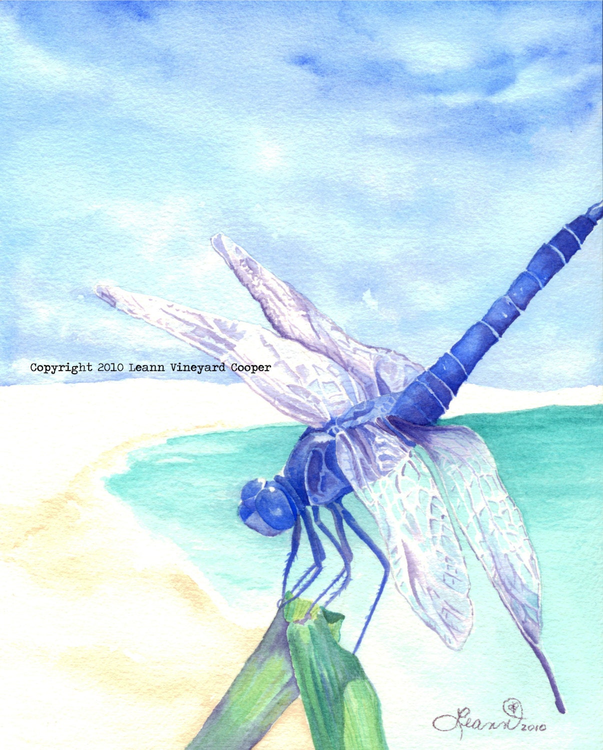 Dragonfly, note / greeting card