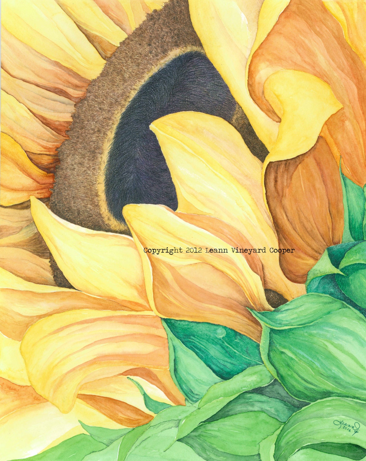 Sunflower, note / greeting card