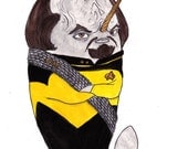 Worf Narwhal