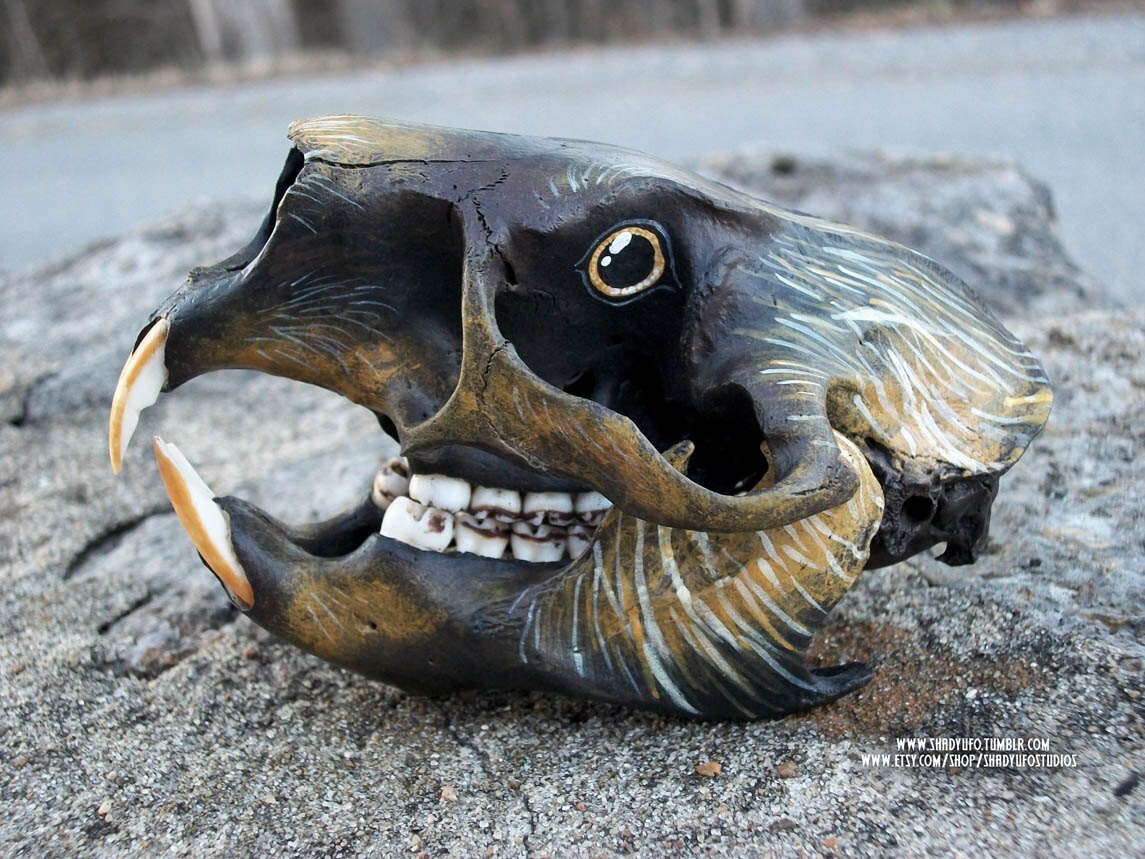 Living Heads Painted Porcupine Skull