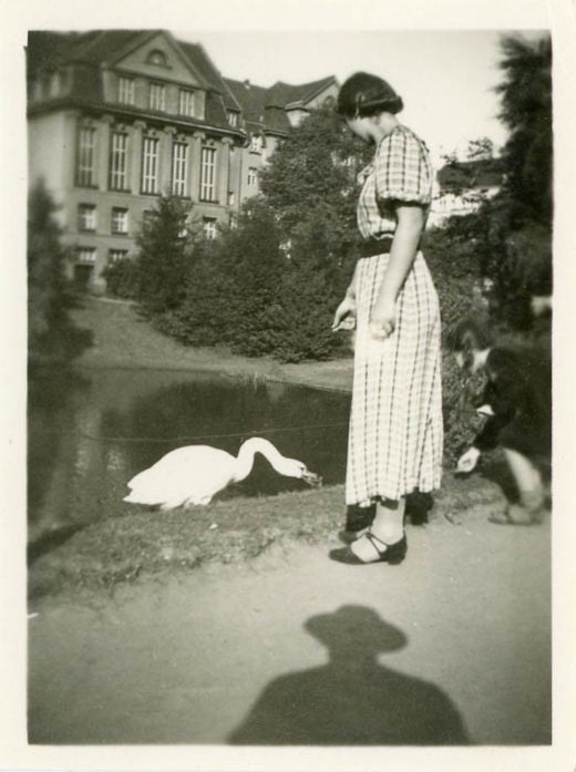 Vintage Photo "Feeding Ducks", Photography, Paper Ephemera, Snapshot, Old Photo, Collectibles - 0037
