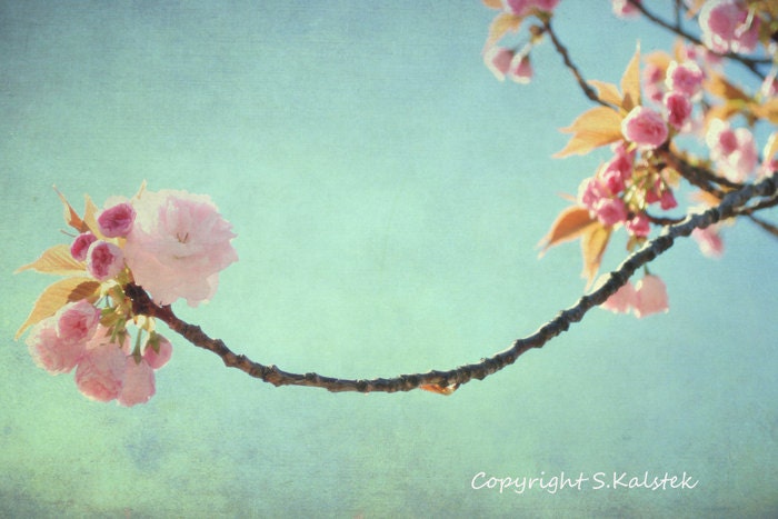 Mint and Pink Photography Flower Photograph Botanical Branch Spring Pale Pink Teal Aqua Spring Floral picture 8x12 photograph