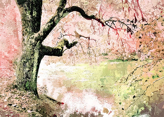 TREE on bank of river with pink petals - reflections in water - nature art - French Country Chic Decor 5x7 fine art print matted to 8x10
