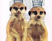 Acrylic paintings Illustration Original Prints Drawing Giclee Posters Mixed Media Art Valentine's Day: 2 Royal Meerkats