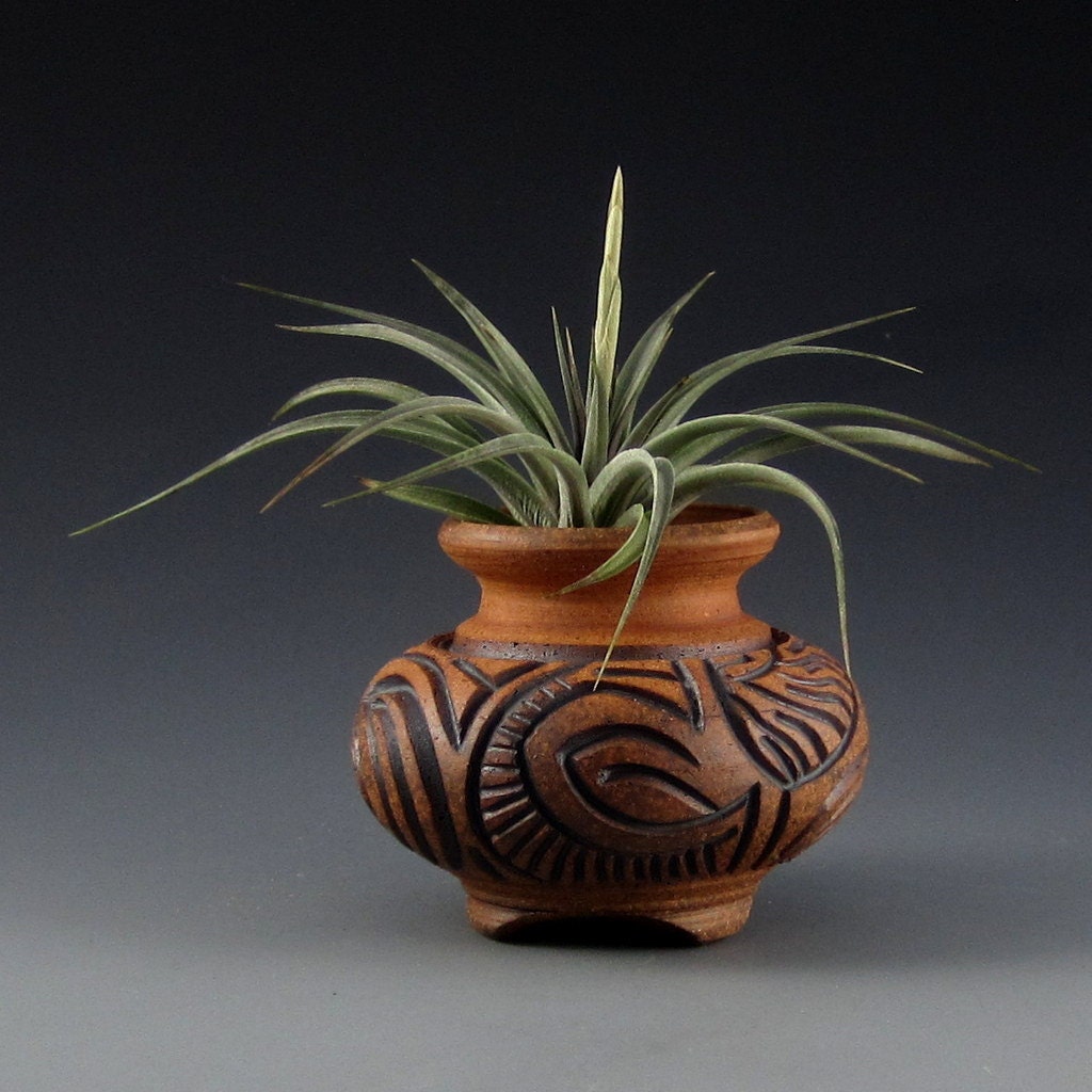 Carved Clay Tilly Pot (tm) and Vernicosa Air Plant (5742)