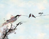 Birds on a wire, Love birds art, Drawing & Illustration, Bird illustration, Ink drawing, 11x14 print