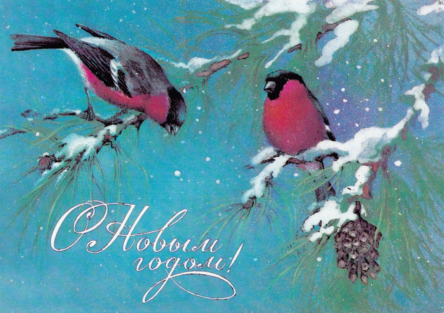 Vintage "Happy New Year" Postcard - 1980s