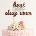 The Whimsical Wedding Cake Topper in Mahogany Mint Love Birds - Ready to ship