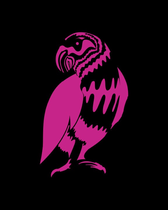 Graphic Pink & Black Parrot Print