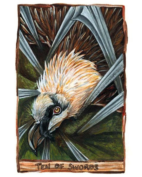 Tarot Card Art, Bearded Vulture Print, Ten of Swords, 8x10 Wall Art, Bird Illustration, Tarot Deck Art