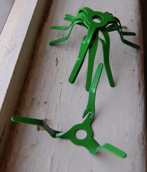 avocado pit sprouting pinwheel