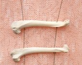 Cat Bone Necklace - Cruelty Free