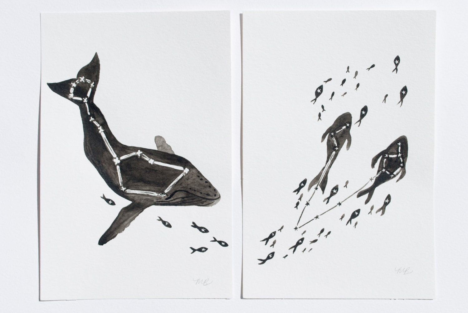 Cetus and Pisces Constellations // Original Illustration
