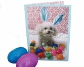 Miniature Toy Poodle Easter Card, Toy Poodle Easter Greeting Card