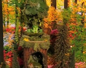 Fairy House, Tree Trunk Condo with Miniature Fairy, Woodland Fairy House, Fairies, Miniature House, Fairy