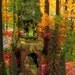 Fairy House, Tree Trunk Condo with Miniature Fairy, Woodland Fairy House, Fairies, Miniature House, Fairy