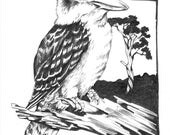 Kookaburra - original graphite wildlife study