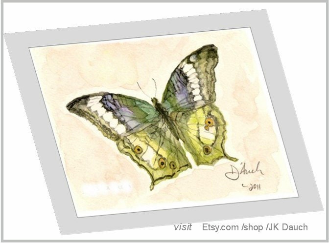 Butterfly Print -  "VINDULA EROTA 2" Original Watercolor Painting by Jamie Dauch - Michigan artist