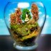 Bunny Rabbit Grove - Spring - Terrarium / Diorama