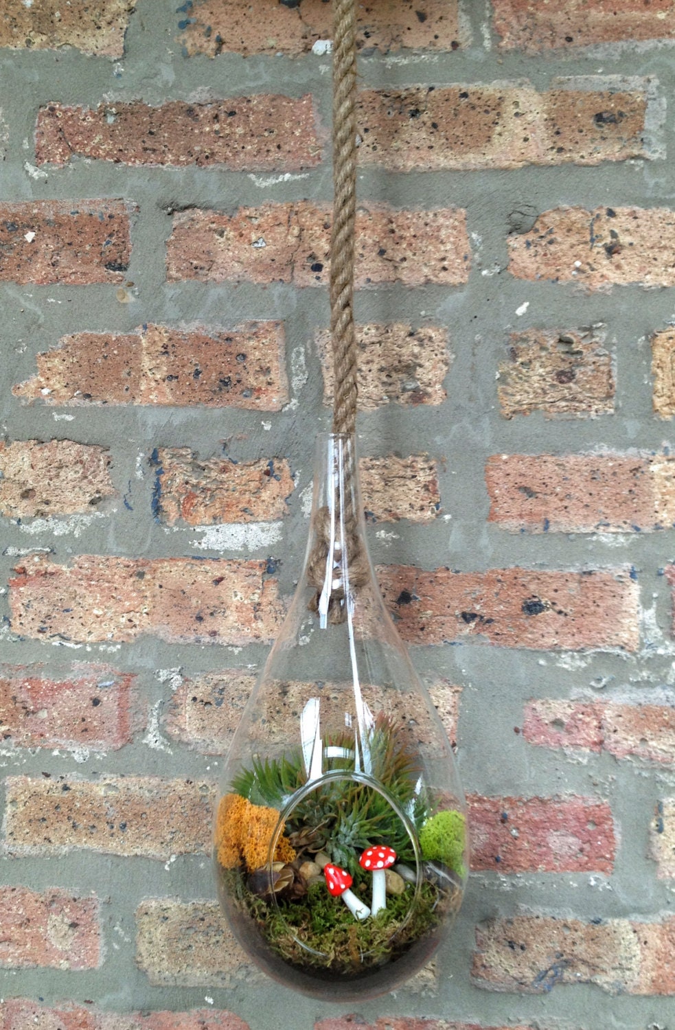 Urban Chic Hanging Glass Droplet and Sisal Rope Air Plant and Moss Terrarium - A Uniquely Industrial Birthday Gift
