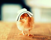 Chick Wearing A Nurses Cap Rectangle Refrigerator Magnet