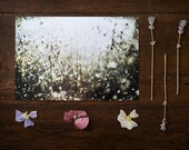 Photography print by Sanne Griekspoor (landscape, nature, film, analog, color)