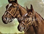 Horses - Beautiful Horses Print -  Vintage Restored Art Print - 1920s Restored Print -  Equine Lovers Gift