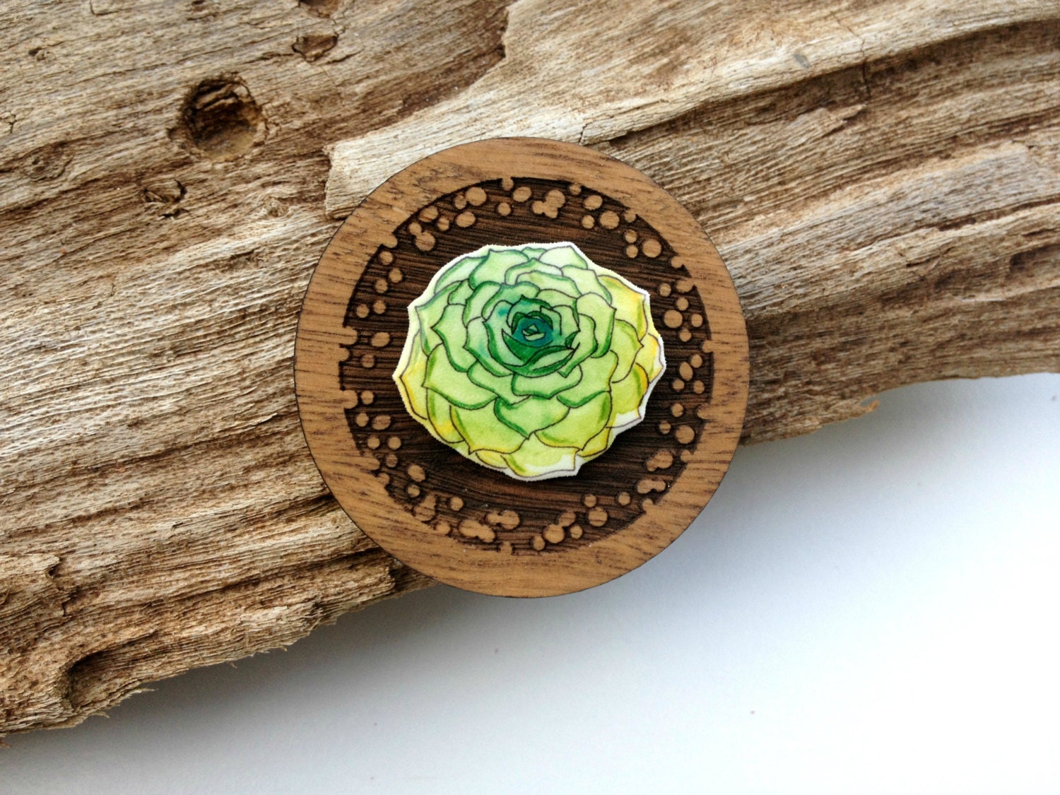 Green Succulent Brooch & Pendant - original watercolour illustration print on laser cut wood