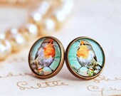 Blue Robin earrings, robins egg blue earrings, bird stud earrings, bird jewelry