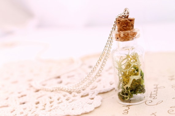 Botanical specimen necklace, Miniature terrarium pendant, botanical jewelry, woodland wedding, Irish jewelry, etsy store , beautyfoodlfie.blogspot.com