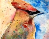 Cedar Waxwing watercolor Giclee print by Ellen Brenneman