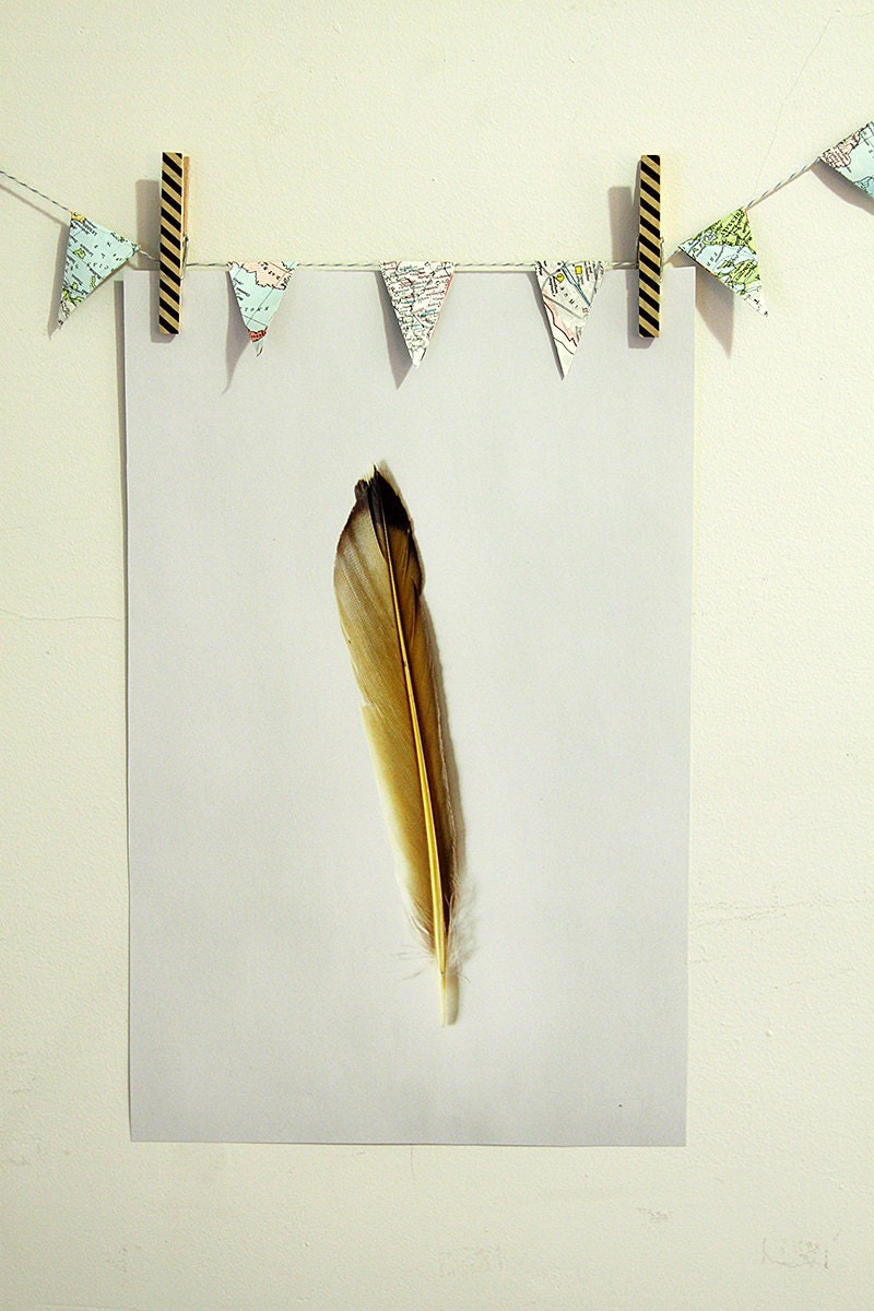 Golden Feather Photograph, Oversized Photo Print, Big Feather Print, Macro Nature Photography, Flicker Feather, 11x17 Art Print, Gold Black