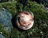 snail shell necklace