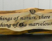 Woodburned Sign Rustic Wall Art Pyrography- Aristotle Nature Quote