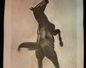 Original Leaping stallion horse pencil graphite drawing on paper