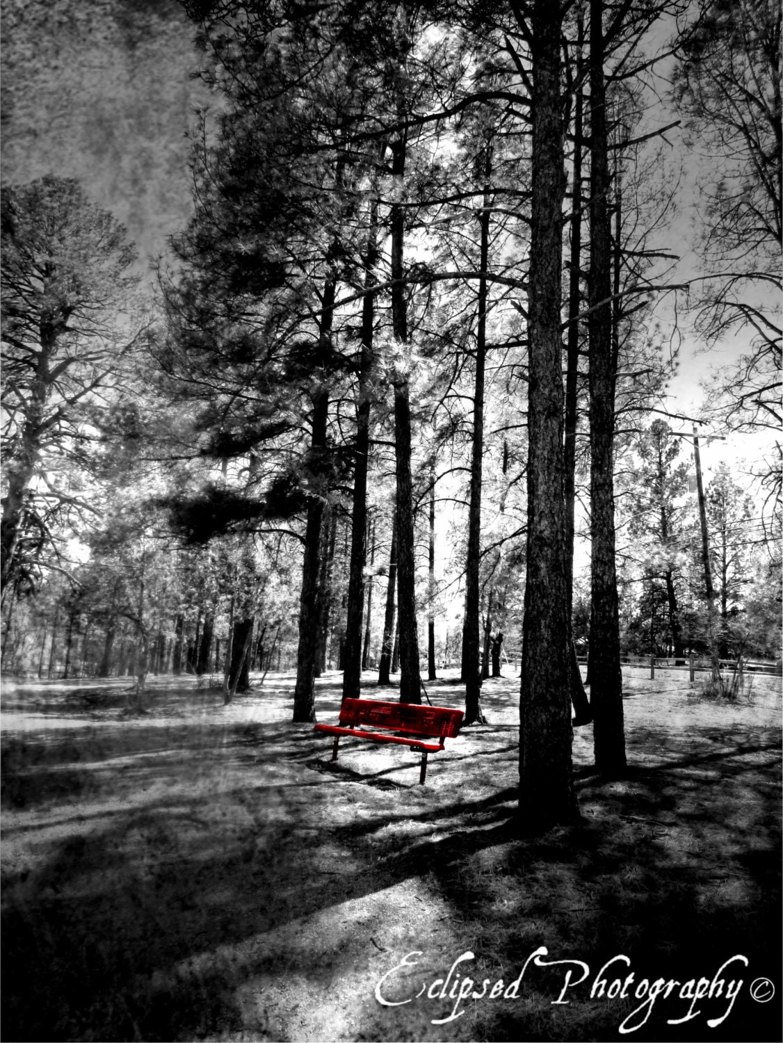 Painted with Love - Eclipsed Photography: 8x10 love black white red romantic photography love gothic surreal bench fantasy fairy tale dream