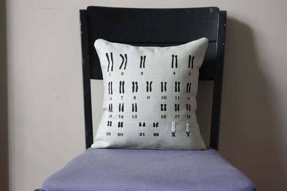 Karyotype Pillow - Male