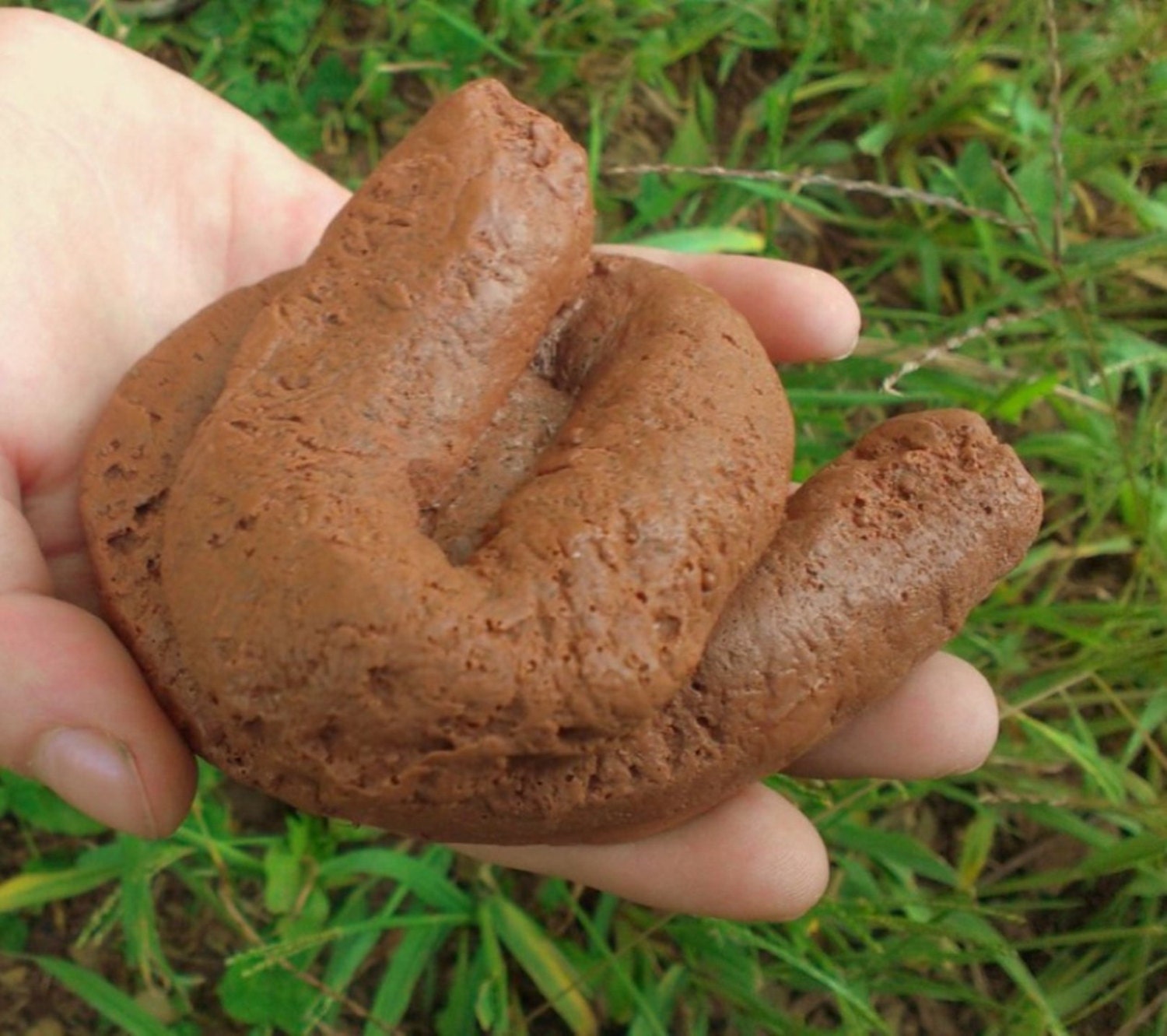 Dog Poop Soap - Handmade Soap by Howard's Home Il_170x135