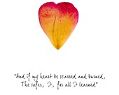 Rose Petal Greeting Card With Broken Heart Quote