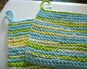 Spring Dew Blue and Green Dishcloths (set of 2)
